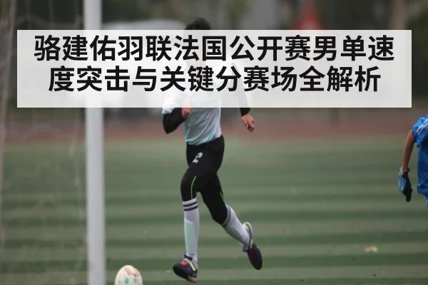 骆建佑羽联法国公开赛男单速度突击与关键分赛场全解析